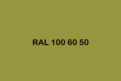 RAL 100 60 50 ral design