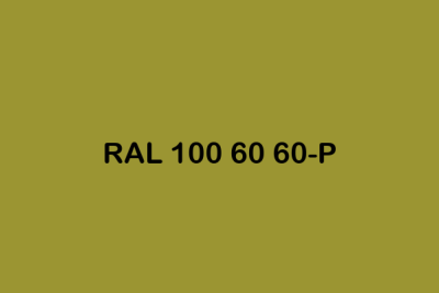 RAL 100 60 60 P ral plastics p2