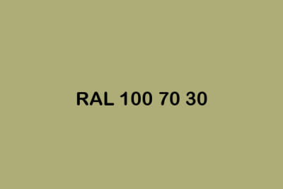RAL 100 70 30 ral design
