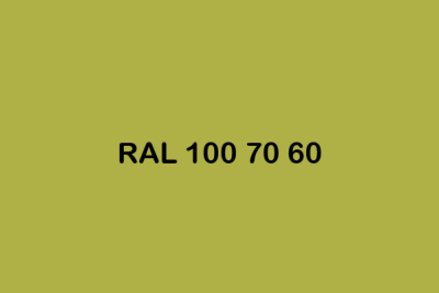 RAL 100 70 60 ral design