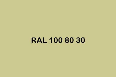 RAL 100 80 30 ral design