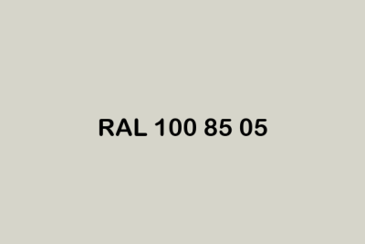 RAL 100 85 05 ral design