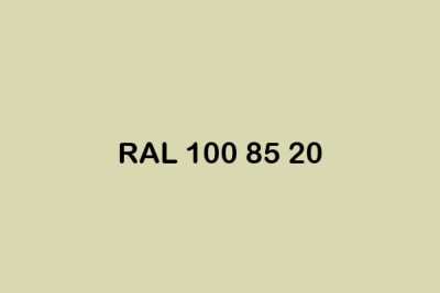 RAL 100 85 20 ral design