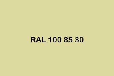 RAL 100 85 30 ral design