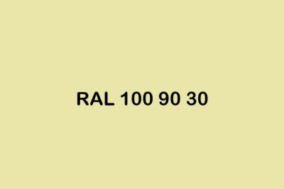 RAL 100 90 30 ral design