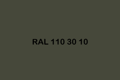 RAL 110 30 10 ral design