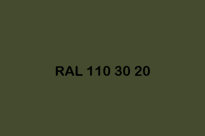RAL 110 30 20 ral design