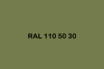RAL 110 50 30 ral design