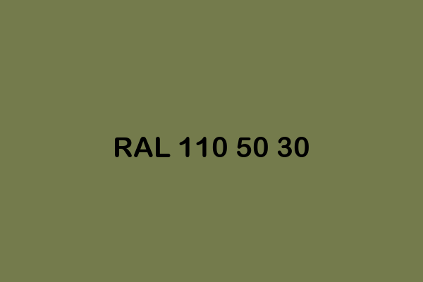 RAL 110 50 30 ral design