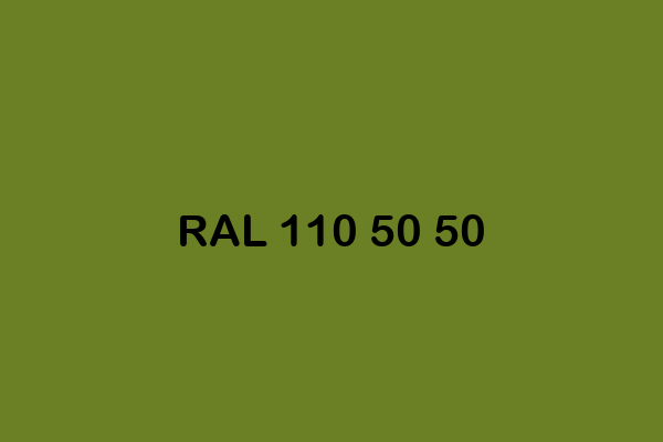 RAL 110 50 50 ral design