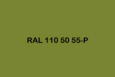 RAL 110 50 55 P ral plastics p2