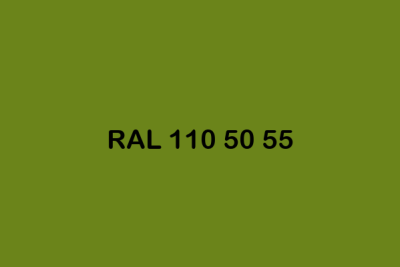 RAL 110 50 55 ral design