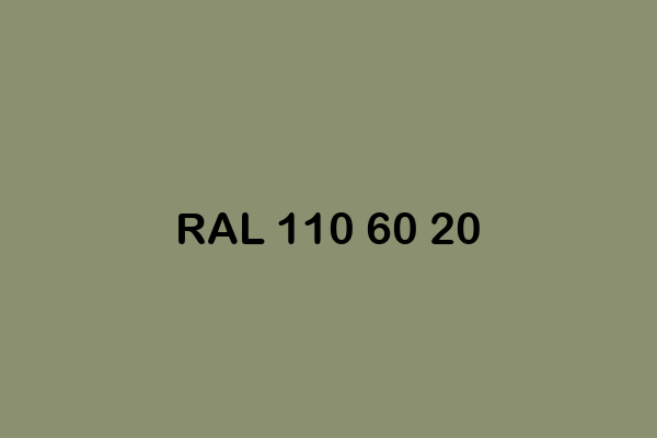 RAL 110 60 20 ral design