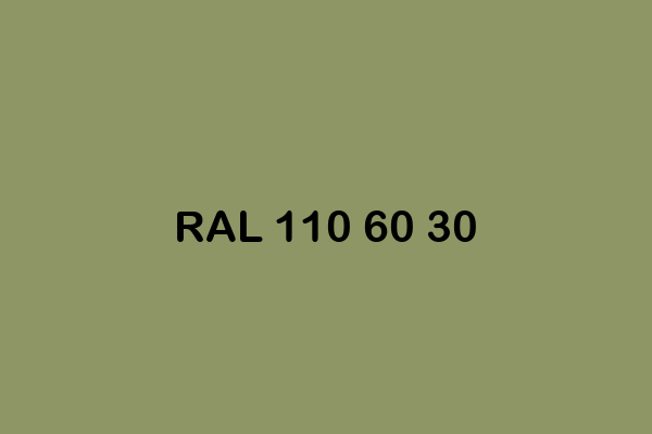 RAL 110 60 30 ral design