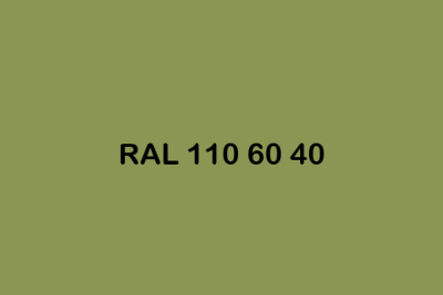 RAL 110 60 40 ral design
