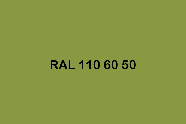 RAL 110 60 50 ral design