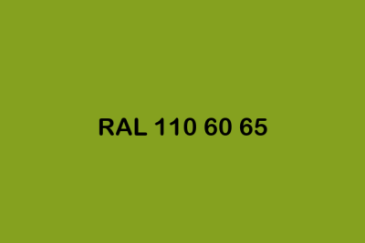 RAL 110 60 65 ral design