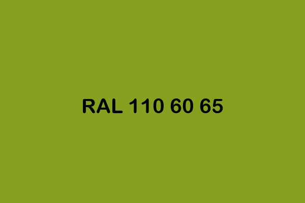 RAL 110 60 65 ral design