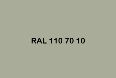 RAL 110 70 10 ral design