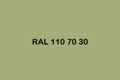RAL 110 70 30 ral design