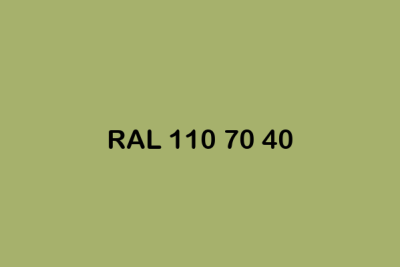 RAL 110 70 40 ral design