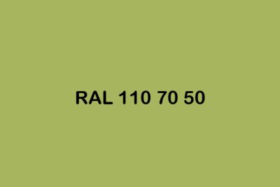 RAL 110 70 50 ral design