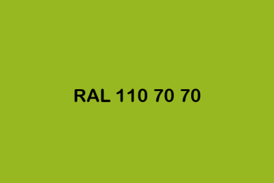 RAL 110 70 70 ral design