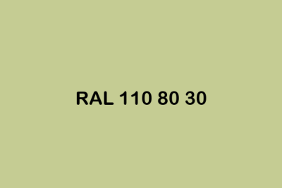 RAL 110 80 30 ral design