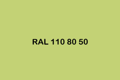 RAL 110 80 50 ral design