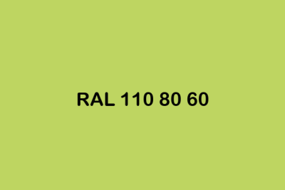 RAL 110 80 60 ral design