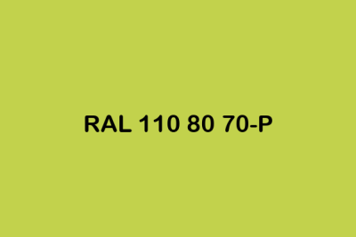 RAL 110 80 70 P ral plastics p2