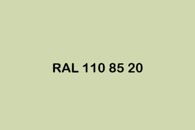 RAL 110 85 20 ral design