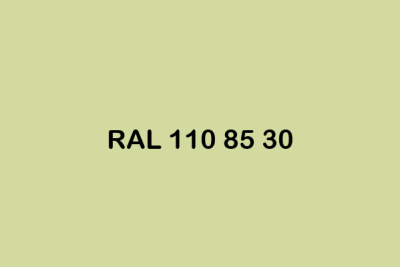 RAL 110 85 30 ral design