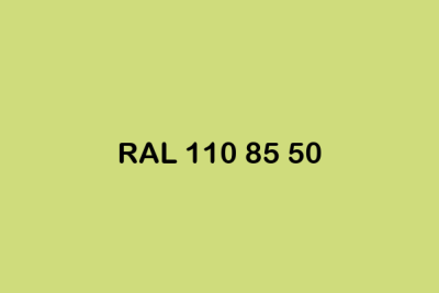 RAL 110 85 50 ral design