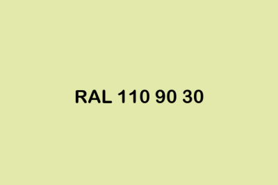 RAL 110 90 30 ral design