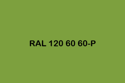 RAL 120 60 60 P ral plastics p2