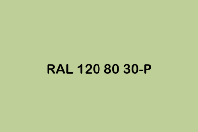 RAL 120 80 30 P ral plastics p2