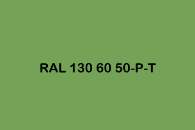 RAL 130 60 50 P T ral plastics p2