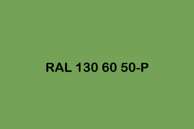 RAL 130 60 50 P ral plastics p2