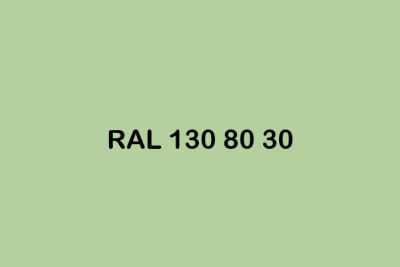 RAL 130 80 30 ral design
