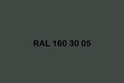 RAL 160 30 05 ral design