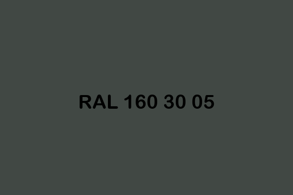 RAL 160 30 05 ral design