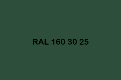 RAL 160 30 25 ral design