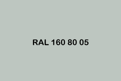 RAL 160 80 05 ral design