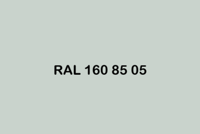 RAL 160 85 05 ral design