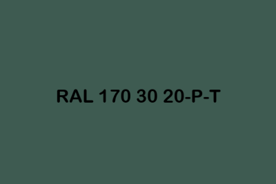 RAL 170 30 20 P T ral plastics p2