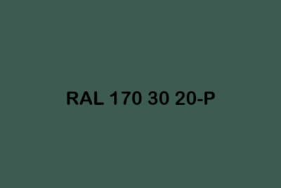 RAL 170 30 20 P ral plastics p2