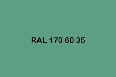 RAL 170 60 35 ral design