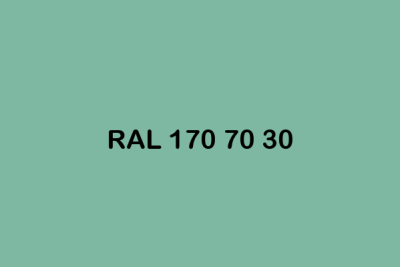 RAL 170 70 30 ral design