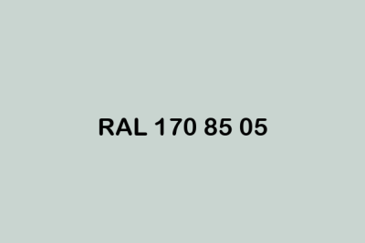 RAL 170 85 05 ral design